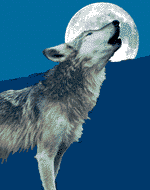 natural rhythms - lunar cycles Wolfhowl
